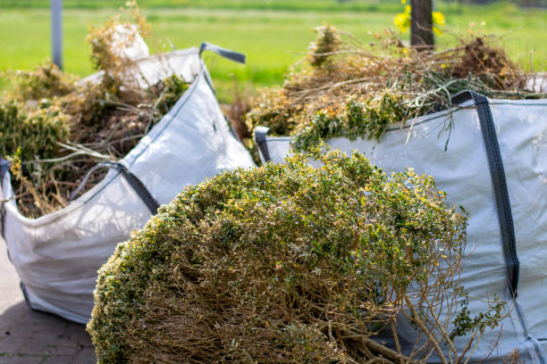 Best Full-Service Junk Removal  in Lochsloy, WA